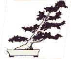 sakan