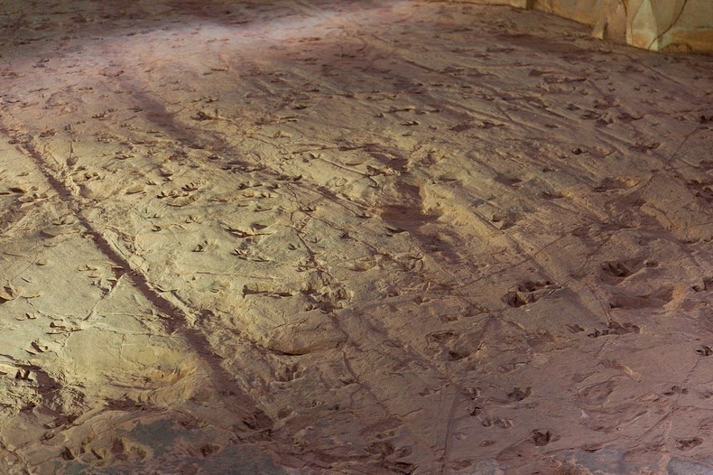 lark-quarry-dinosaur-trackways-3