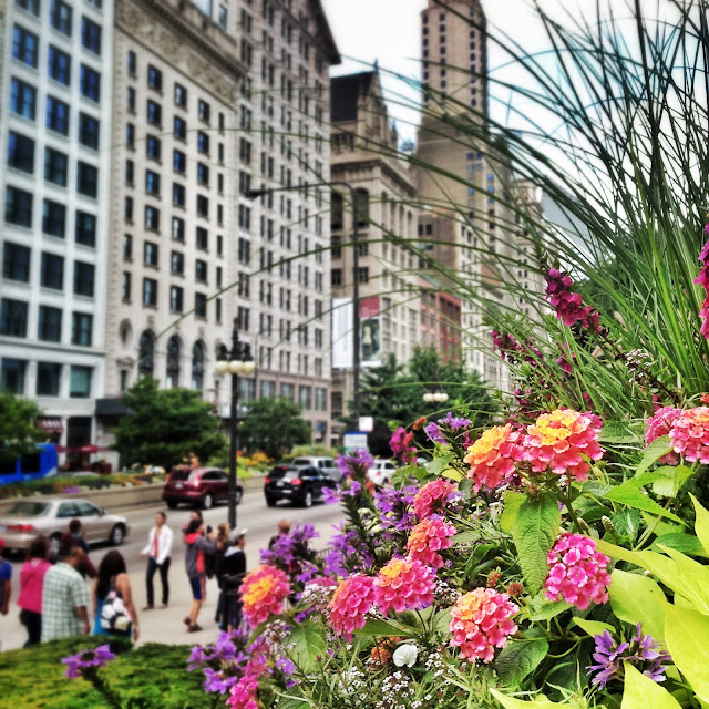 Michigan Avenue, the Magnificent Mile in Chicago