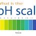 What is pH scale ?