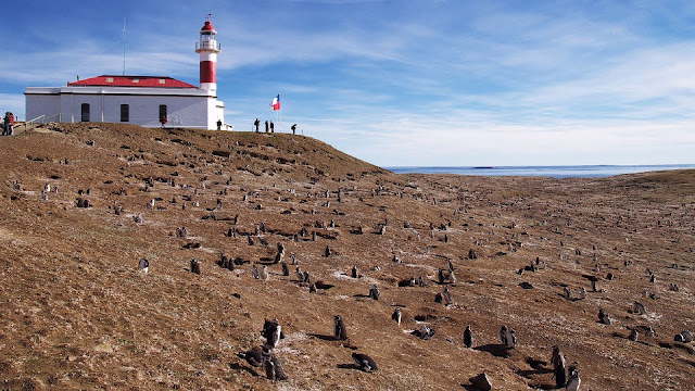 Los Pingüinos Natural Monument