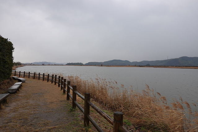 鳥取県米子市彦名新田 米子水鳥公園 水鳥観察広場からの眺望