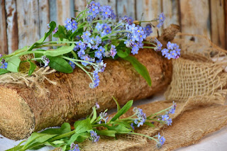 Forget Me Not Flowers