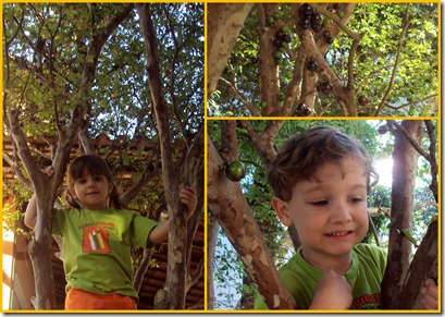 Colagens