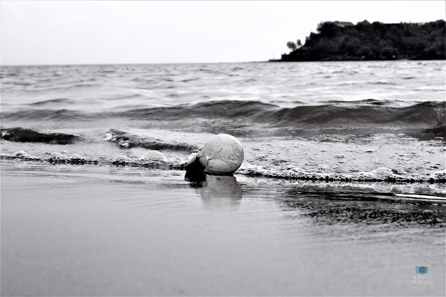 interesting things found at the beaches in goa