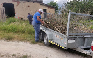 Fire wood into storage