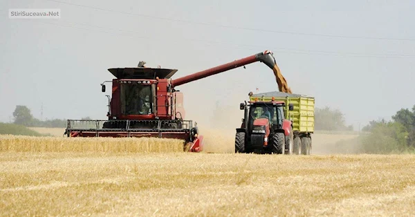 România este cel mai mare exportator de grâu din Uniunea Europeană în acest sezon