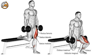 8 Best Squat Variations for Building Leg Muscle