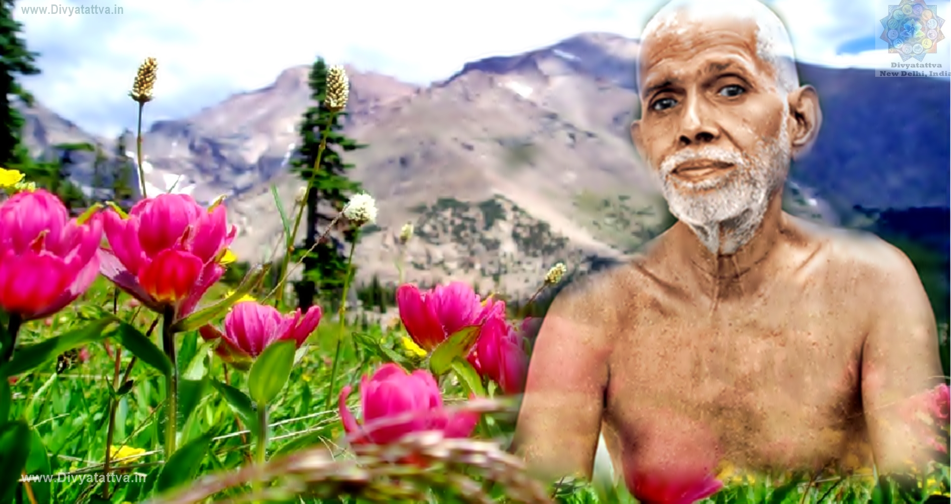 Beautiful Ramana Maharshi 4k UHD Wallpapers, Photos, Pictures, Images & Teachings