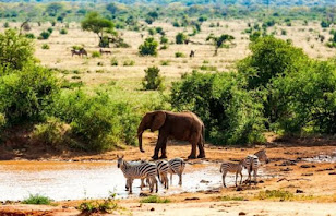 5 Top-Rated Tourist Attractions in Kenya - Must See Places 2023