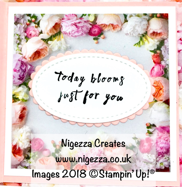 Nigezza Creates My Stampin' Up! Retiring Favourites: Petal Promenade