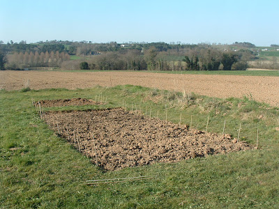 My planted veggie plot at La Maison des Fleurs - www.farmhousegites.com