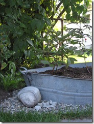 bloggebilder 028