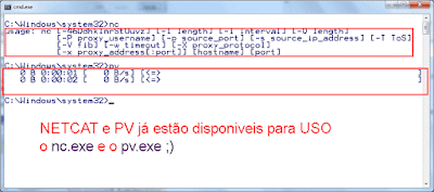 PIPE VIEWER e NETCAT disponíveis