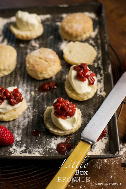 Apple cider scones