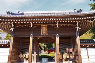 touhuku63