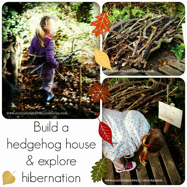 Build your own Hedgehog House - Explore Hibernation