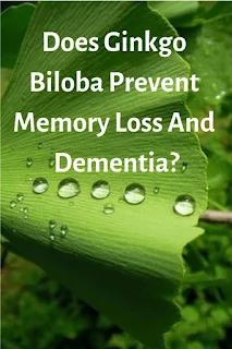Does Ginkgo Biloba Prevent Memory Loss And Dementia?