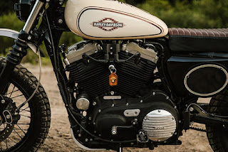 desert rat sportster 1200