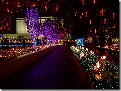 lights