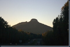 IMG_3584