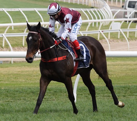 ethereal stakes_tiamo grace 2