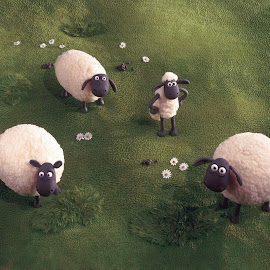 Gambar Shaun the Sheep
