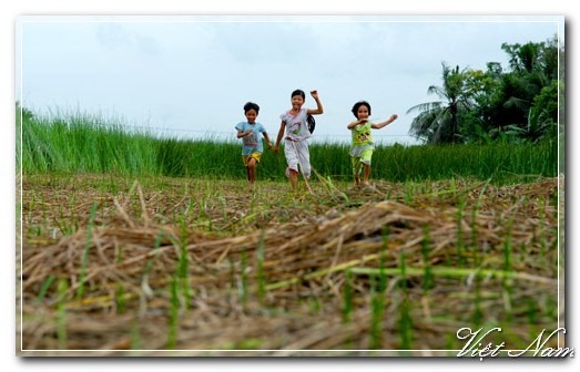 Cảnh Đẹp Việt Nam