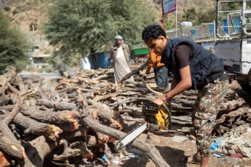( أ ف ب) تتعالى أصوات المناشير الكهربائية في جبال جنوب اليمن الغارق في الحرب، إذ أصبح خشب الأشجار مصدرًا بديلاً للطاقة لسكان بلد فقير يواجهون واحدة من أسوأ الازمات الإنسانية في العالم. ولم يسلم اليمن من التضخم العالمي وارتفاع أسعار الطاقة، رغم انه منقطع عن العالم إلى حد كبير بسبب الحرب المستمرة منذ 2014 بين القوات الموالية للحكومة المدعومة من السعودية والحوثيين القريبين من إيران.  وهذا الصراع، الذي خلف مئات آلاف القتلى وملايين النازحين، دمّر كذلك اقتصادا هشا للغاية، ما دفع جزءا كبيرا من حوالي 30 مليون يمني إلى حافة الجوع والمجاعة. على مشارف مدينة تعز في جنوب غرب البلاد التي يحاصرها الحوثيون لكنّها لا تزال تحت سيطرة الحكومة، يجمع حسين عبد القوي وزملاؤه خشباً من أشجار قطعت حديثا في غابة قبل رميه في الجزء الخلفي من شاحنة صغيرة.  ويقول عبد القوي لوكالة فرانس برس "بدأنا في قطع الاشجار وبيعها لانه ليس لدينا وسيلة اخرى للعيش"، مصيفا "هذه كارثة" أخرى لليمن. لكنه يؤكد أنّ "لا خيار أمامنا سوى بيعها، مثلما لا خيار أمام الناس سوى شرائها".  - "كارثة" - تسبب الانتعاش العالمي بعد كوفيد-19 والحرب في أوكرانيا في ارتفاع أسعار النفط خلال العام الماضي وعدم استقرارها. وأمام مخبز عبد السلام دابوان في مركز تسوق في تعز، تتراكم جذوع وأغصان مقّطعة، قبل أن تُحرق في الأفران لتحضير الخبز، الغذاء الأساسي خاصة للعائلات الأكثر فقراً من اليمن.  وبينما ينهمك موظفوه في خبز أرغفة صغيرة وفطائر ذهبية اللون، يقرّ الخبّاز أمام فرنه بأنّه اضطر إلى استخدام الخشب بسبب الزيادة الكبيرة في أسعار الغاز والوقود. ويوضح أنه لو لم يقم بذلك، لكان اضطر لزيادة أسعاره على ضوء زيادة كلفة الوقود. ويقول لفرانس برس "نستخدم الحطب لمنح الناس ما يحتاجون"، داعيا الحكومة لمساعدة التجار في مواجهة ارتفاع أسعار الطاقة.  وبحسب الخبير البيئي أنور الشاذلي، قطعت أكثر من ستة ملايين شجرة منذ بداية الحرب، خصوصا في صنعاء حيث تستخدم على نطاق واسع في المخابز والمطاعم، بحسب أرقام رسمية. ويؤكّد الاختصاصي أنّ قطع الأشجار "موجود في جميع البلدان ولكن بطريقة منظّمة".  ويتابع انه في اليمن وخاصة في تعز يتم قطع الأشجار "على مستوى سطح الأرض مما يؤثر على المياه الجوفية والأنظمة الزراعية والتنوع البيولوجي ويساهم في تآكل التربة". ويحذّر الخبير من أنّ السلطات يجب أن تتدخل من خلال منع عمليات القطع "الفوضوية" وتدريب الأشخاص الذين يقطعون الأشجار على القيام بذلك بطريقة "مناسبة" للتقليل من الآثار على البيئة.  ويشدد الخبير البيئي على أنه يتفهم محنة السكان في مواجهة التضخم والعواقب الاقتصادية للحرب، لكن على اليمن أن يتحرك بشكل عاجل لمنع "الكوارث الطبيعية التي ستصيب البلاد".