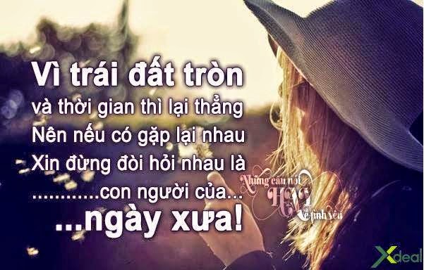  Giay dan tuong