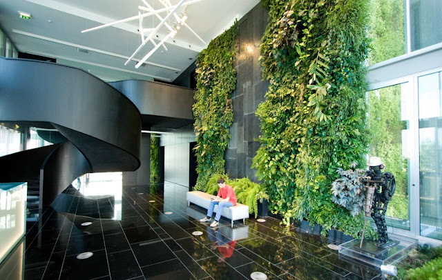 Eco office - xu hướng thiết kế văn phòng được ưa chuộng hiện nay