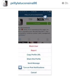 prilly latuconsina minta followers untuk turn on notification instagram