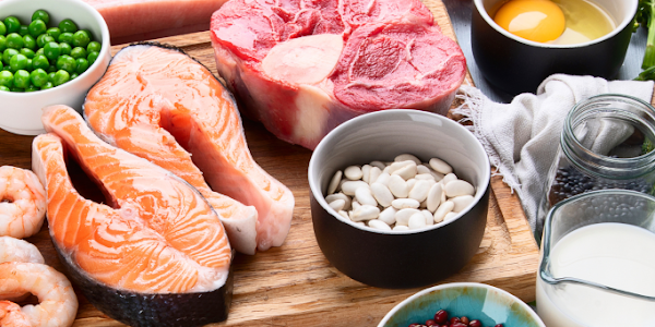 Transform Your Dog's Diet: High-Protein Foods for Optimal Health