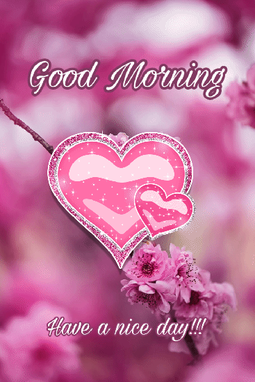 Good Morning Flower Images Free Download Best Wishes Image