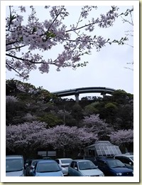 IMG_20150405_151327