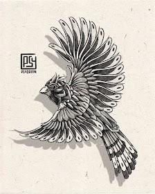 02-Cardinal-Bird-Animal-Drawings-Adrian-Dominguez-www-designstack-co
