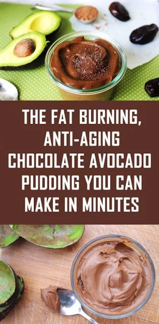 The Fat Burning Chocolate Avocado Pudding You Can Make in Few Minutes