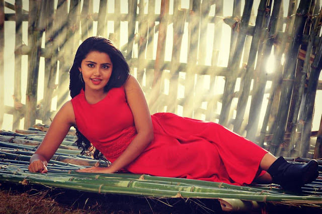 anupama parameswaran latest photos