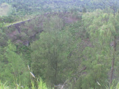 Survey Jalur Pengembaraan Makawidei (batu angus) - Tangkoko (batu putih) 2007