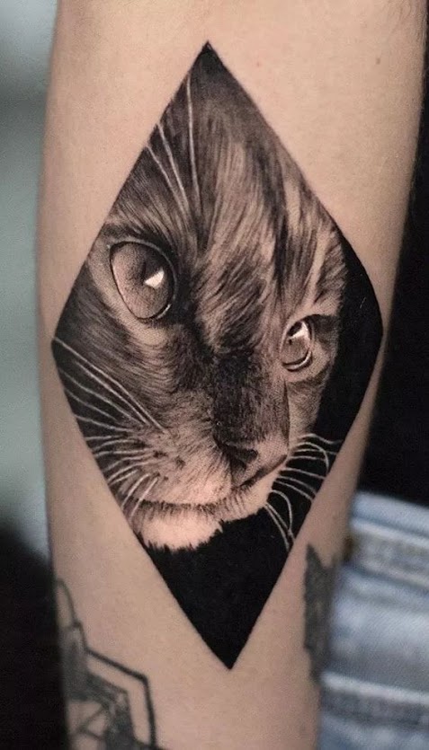 Realistic-Cat-Forearm-Tattoo