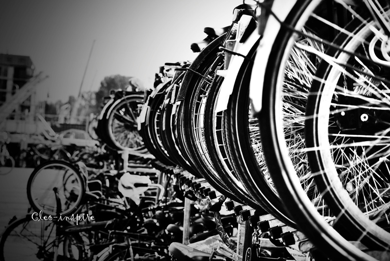 Holenderskie rowery
