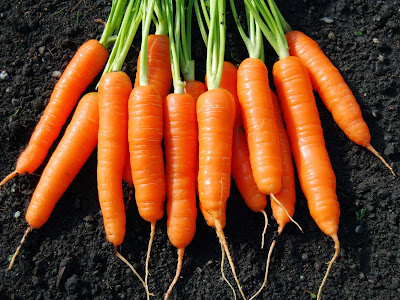 Health Benefits of carrot for skin and hair