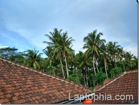 Hasil Foto Kamera Xiaomi Mi 4c