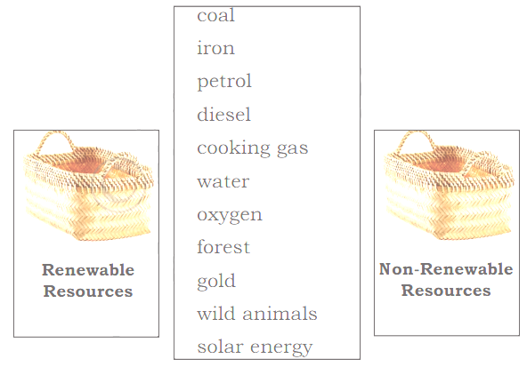 KSEEB Solutions for Class 5 EVS Chapter 5  Natural resources in English Medium