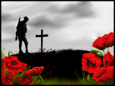 In Flanders fields the poppies