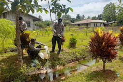 Polsek Muting Berhasil Amankan Ratusan Liter Sopi di Kampung Nggayu Distrik Ulilin