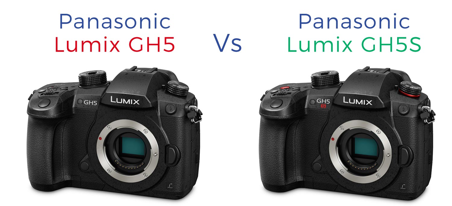 Panasonic Lumix GH5S vs Lumix GH5 Review  Park Cameras Blog