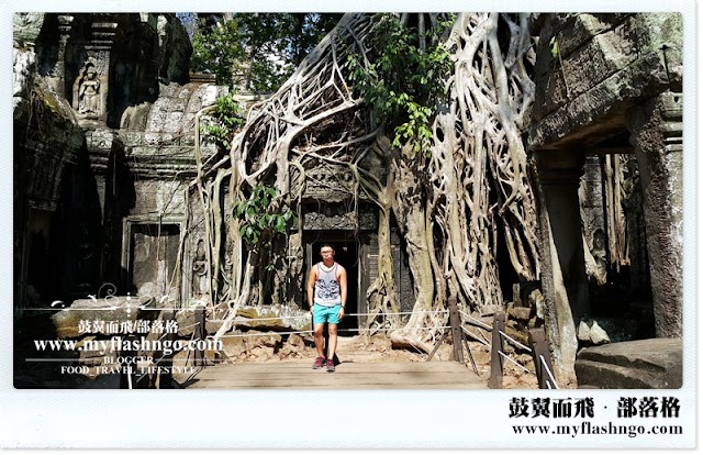 Travel Cambodia 2015 | 大吴哥城之《古墓奇兵》取景之地 《塔普隆寺》 Ta Prohm (6) 