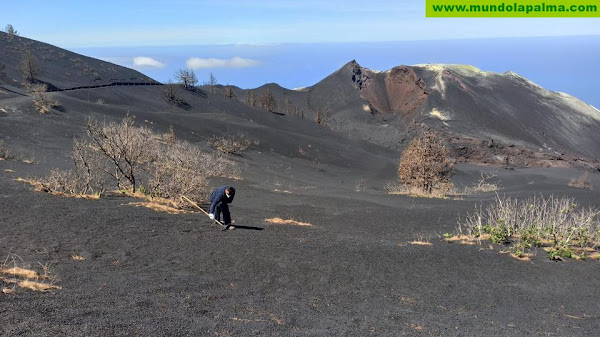 La mimetización paisajística en el entorno del volcán, reconocida en el Seminario de Custodia del Territorio celebrado en Mazo