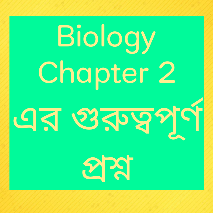 নিউক্লিওসাইড কী/কি/বলতে কি বুঝ | ক্রোমাটিড বলতে কি বুঝ/ক্রোমাটিড কি | গ্লাইকোলাইসিস কী/কি